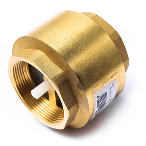 ANA เช็ควาล์วสปริงทองเหลือง 2  รุ่น 117 A131-2449